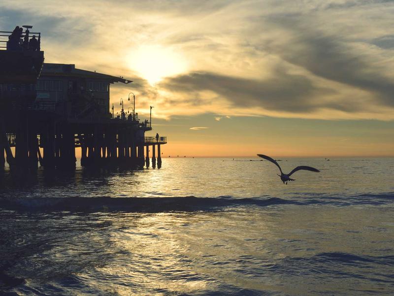 命运的齿轮<br>uwsuuyl.cn 开始转动了